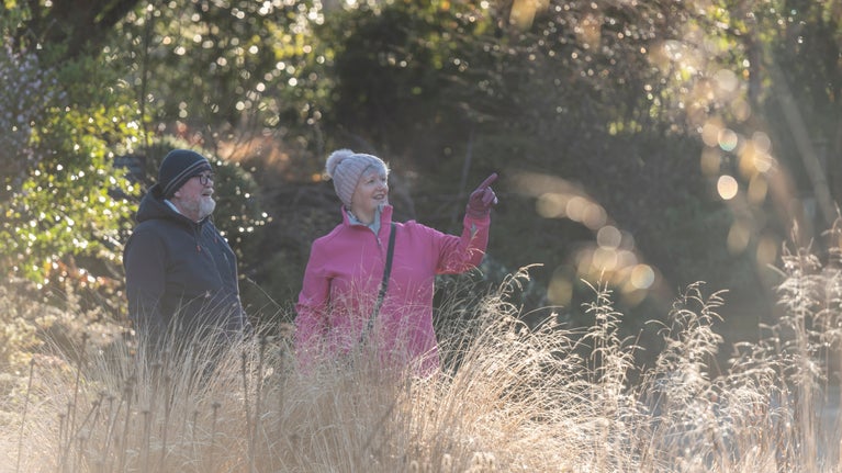 A couple enjoy a walk through the winter plants of the Round Garden
